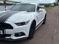 USED 2017 17 FORD MUSTANG 5.0 V8 GT Fastback 2dr Petrol SelShift Euro 6 (416 bhp) **AUTO GEARBOX**REVERSE CAMERA**SAT NAV**FULL LEATHER**