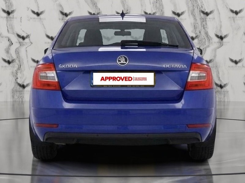 2019 Škoda Octavia in blue — photo 5 of 14
