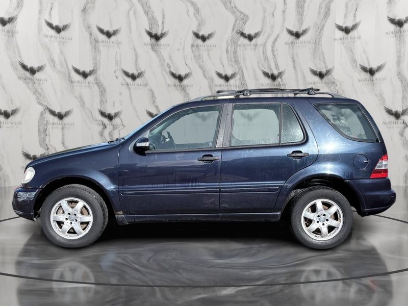 2003 Mercedes-Benz M Class in blue — photo 4 of 20