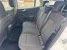 USED 2021 71 FORD FOCUS 2.0 EcoBlue Titanium Estate 5dr Diesel Auto Euro 6 (s/s) (150 ps) AUTO -- HEATED SEATS -- SAT NAV -- CAR PLAY -- SENSORS