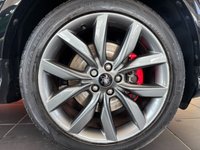 USED 2019 19 FORD KUGA 1.5 TDCi EcoBlue ST-Line Edition SUV 5dr Diesel Manual Euro 6 (s/s) (120 ps) Panoramic Roof | 7 Services