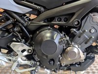 USED 2019 19 YAMAHA TRACER 900 2019. RECENT SERVICE. REALLY GOOD CONDITION. RECENTLY SERVICED