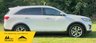 USED 2016 66 KIA SORENTO 2.2 CRDi KX-4 Auto AWD Euro 6 5dr Service history available