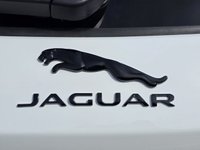 USED 2020 20 JAGUAR F-PACE 5.0 V8 SVR SUV 5dr Petrol Quickshift AWD Euro 6 (s/s) (550 ps) Full JagService H -Immaculate