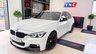 USED 2018 68 BMW 3 SERIES 2.0 320d M Sport Shadow Edition Auto Euro 6 (s/s) 4dr PERFORMANCEKIT+SHADOWED+19S
