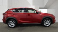 USED 2019 19 LEXUS NX 2.5 300h Premium SUV 5dr Petrol Hybrid E-CVT 4WD Euro 6 (s/s) (197 ps)+2 KEYS+1 FORMER KEEPER+FSH+NAV+FULL LEATHER SEATS+PARK CONTROL+POWER BOOT+PRIVACY+MEDIA+BLUETOOTH+DIGITAL DASH+18