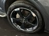 USED 2019 AUDI Q5 2.0 TDI 40 Black Edition SUV 5dr Diesel S Tronic quattro Euro 6 (s/s) (190 ps) TECH/INTERIOR LIGHT PACK!