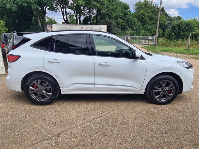 View our FORD KUGA