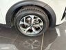 USED 2020 70 KIA SPORTAGE 1.6 CRDi MHEV 2 SUV 5dr Diesel Hybrid DCT Euro 6 (s/s) (134 bhp) 