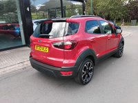 USED 2023 23 FORD ECOSPORT 1.0T EcoBoost Active SUV 5dr Petrol Manual Euro 6 (s/s) (125 ps) 1 OWNER SUV ONLY 20,967 MILES