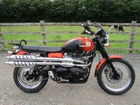 USED 2011 61 TRIUMPH Scrambler 865 865 Roadster/Retro Petrol Manual (54 ps) 