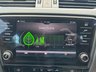 USED 2020 20 SKODA OCTAVIA 1.6 TDI SE Technology Euro 6 (s/s) 5dr FSH,Nav,Apple CarPlay,warranty