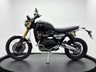 USED 2026 26 TRIUMPH Scrambler 1200 1200 XE  YAMAHA MAIN DEALERSHIP