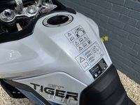 USED 2026 26 TRIUMPH TIGER 900 TIGER 900 GT ALPINE FULL LUGGAGE ADVENTURE READY 900