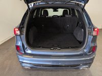 USED 2023 23 FORD KUGA 2.5 Plug-In Hybrid ST-Line X Edition Auto 1 Year Ford Protect Warranty and Roadside Assistance Included