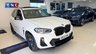 USED 2022 22 BMW X3 2.0 30e 12kWh M Sport Auto xDrive Euro 6 (s/s) 5dr PERFORMANCEKIT+PANROOF+19S