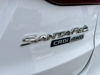 USED 2017 67 HYUNDAI SANTA FE 2.2 CRDi Blue Drive Premium SUV 5dr Diesel Manual 4WD Euro 6 (s/s) (200 ps) SERVICE HISTORY* 7 STAMPS* FULL LEATHER* SAT NAV* REVERSING CAMERA* FRONT AND REAR PARKING SENSORS* AUTO START/ STOP* AUTO HOLD* CRUISE CONTROL* HEATED SEATS FRONT AND REAR* DAB RADIO* ELECTRIC HANDBRAKE*