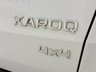USED 2018 18 SKODA KAROQ 2.0 TDI Edition SUV 5dr Diesel DSG 4WD Euro 6 (s/s) (150 ps) Panroof, heated leather, DSG