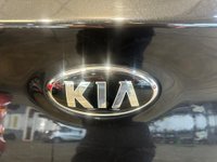 USED 2019 19 KIA CEED 1.0 T-GDi GT-Line Euro 6 (s/s) 5dr Serviced+MOTd+3 Month Warranty