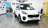 USED 2016 66 KIA SPORTAGE 1.7 CRDi 4 SUV 5dr Diesel Manual Euro 6 (s/s) (114 bhp) +FREE 6 MONTHS NATIONWIDE WARRANTY+