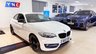USED 2015 15 BMW 2 SERIES 2.0 218d Sport Euro 6 (s/s) 2dr YNCSTYLING+ANDROIDIDRIVE+17S