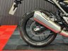 USED 2024 73 TRIUMPH SPEED 400 FINANCE SPECIALISTS APPLY NOW LOW RATE FINANCE DELIVERY AVAILABLE