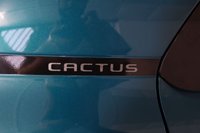 USED 2019 19 CITROEN C4 CACTUS 1.2 PureTech GPF Flair Hatchback 5dr Petrol Manual Euro 6 (s/s) (110 ps) Panoramic Roof, Rear Camera