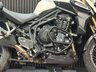 USED 2016 16 TRIUMPH EXPLORER FINANCE SPECIALISTS APPLY NOW LOW RATE FINANCE DELIVERY AVAILABLE