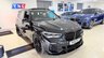USED 2019 19 BMW X5 3.0 30d M Sport Auto xDrive Euro 6 (s/s) 5dr PERFORMANCEKIT+SKYLOUNGE+MPRO