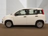 USED 2016 66 FIAT PANDA 1.2 Pop Hatchback 5dr Petrol Manual Euro 6 (69 bhp) HPI CLEAR, 4 PREVIOUS SERVICES, SUPPLIED WITH NEW MOT, SUPPLIED WITH NEW SERVICE, LOW MILEAGE, AIR CONDITIONING, ELECTRIC WINDOWS, 5 DOOR, MANUAL, 3 MONTHS WARRANTY, 1 YEAR AA BREAKDOWN, AA DEALER