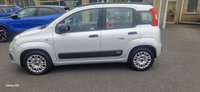USED 2012 62 FIAT PANDA 1.2 Easy Hatchback 5dr Petrol Manual Euro 5 (69 bhp) GREAT VALUE