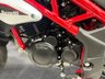 USED 2025 75 BENELLI BN 125 FINANCE SPECIALISTS APPLY NOW LOW RATE FINANCE DELIVERY AVAILABLE