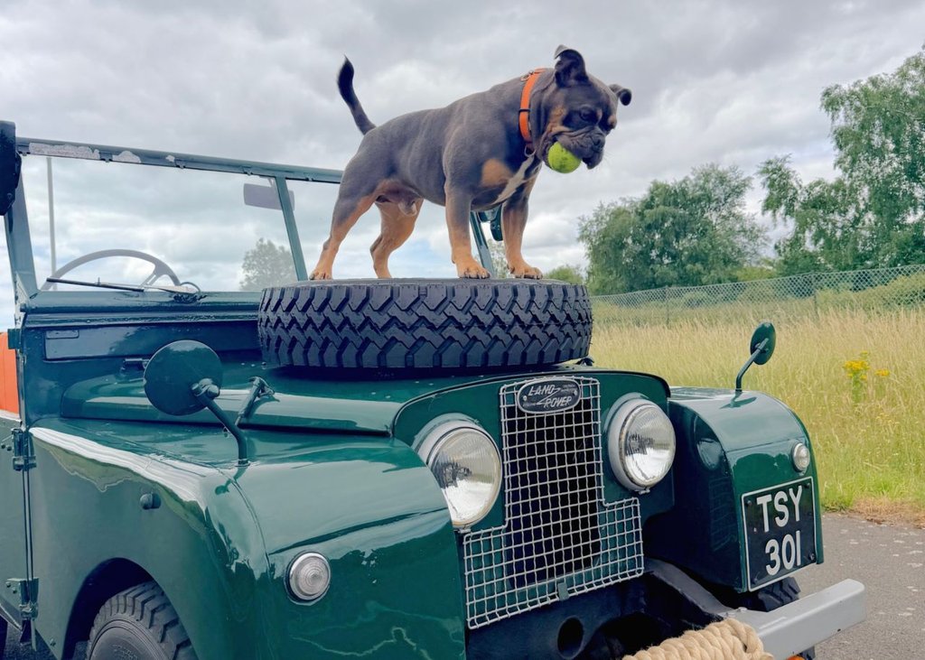 USED 1957 LAND ROVER SERIES 1 2294cc // 86