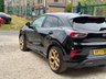 USED 2022 72 FORD PUMA 1.5T EcoBoost ST Gold Edition SUV 5dr Petrol Manual Euro 6 (s/s) (200 ps) #No840 out 999+GOLD EDITION#