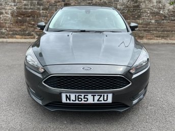 View our FORD FOCUS