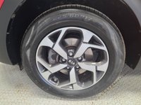 USED 2019 69 KIA SPORTAGE 1.6 GDi 2 SUV 5dr Petrol Manual Euro 6 (s/s) (130 bhp) 