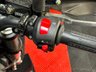 USED 2024 73 BENELLI Tornado Naked T 125 FINANCE SPECIALISTS APPLY NOW LOW RATE FINANCE DELIVERY AVAILABLE