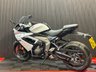 USED 2024 74 TRIUMPH DAYTONA 660 FINANCE SPECIALISTS APPLY NOW LOW RATE FINANCE DELIVERY AVAILABLE