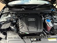 USED 2013 63 AUDI A5 2.0 TDI Black Edition Coupe 2dr Diesel Manual Euro 5 (s/s) (177 ps) Stunning Black Edition - drives superbly very high spec cambelt and water pump changed last year, DAB, Sat Nav, Parking System, Cruise