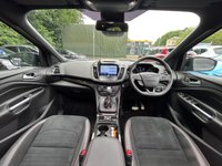 USED 2019 69 FORD KUGA 1.5T EcoBoost ST-Line Edition SUV 5dr Petrol Auto AWD Euro 6 (s/s) (176 ps) 2 OWNERS + NAV + AUTO + CARPLAY + 8X STAMPS + GLASS SUNROOF