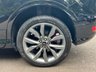 USED 2019 69 FORD KUGA 1.5T EcoBoost ST-Line Edition SUV 5dr Petrol Auto AWD Euro 6 (s/s) (176 ps) 2 OWNERS + NAV + AUTO + CARPLAY + 8X STAMPS + GLASS SUNROOF