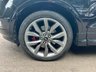 USED 2019 69 FORD KUGA 1.5T EcoBoost ST-Line Edition SUV 5dr Petrol Auto AWD Euro 6 (s/s) (176 ps) 2 OWNERS + NAV + AUTO + CARPLAY + 8X STAMPS + GLASS SUNROOF