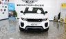 USED 2017 17 LAND ROVER RANGE ROVER EVOQUE 2.0 TD4 HSE Dynamic Lux SUV 5dr Diesel Auto 4WD Euro 6 (s/s) (180 ps) +FREE 6 MONTHS NATIONWIDE WARRANTY+
