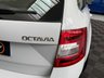 USED 2019 19 SKODA OCTAVIA 1.6 TDI SE Technology Estate 5dr Diesel Manual Euro 6 (s/s) (115 ps) 