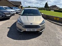 USED 2016 66 FORD FOCUS 1.5 TDCi Zetec Hatchback 5dr Diesel Manual Euro 6 (s/s) (120 ps) 