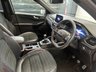 USED 2020 70 FORD KUGA 2.0 EcoBlue MHEV ST-Line X SUV 5dr Diesel Manual Euro 6 (s/s) (150 ps) 