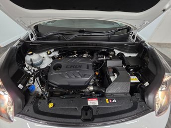 View our KIA SPORTAGE