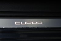USED 2024 24 CUPRA LEON 1.5 eTSI EVO V1 DSG Euro 6 (s/s) 5dr Reverse Camera, Dab , Nav,