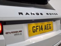 USED 2014 14 LAND ROVER RANGE ROVER EVOQUE 2.2 SD4 Dynamic Fuji White SUV 5dr Diesel Auto 4WD Euro 5 (s/s) (190 ps) 