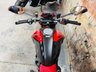 USED 2024 74 DUCATI Monster 937 SP Termignoni + Rizoma Footrests
